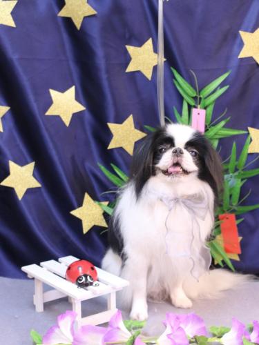 20230712小太郎くん